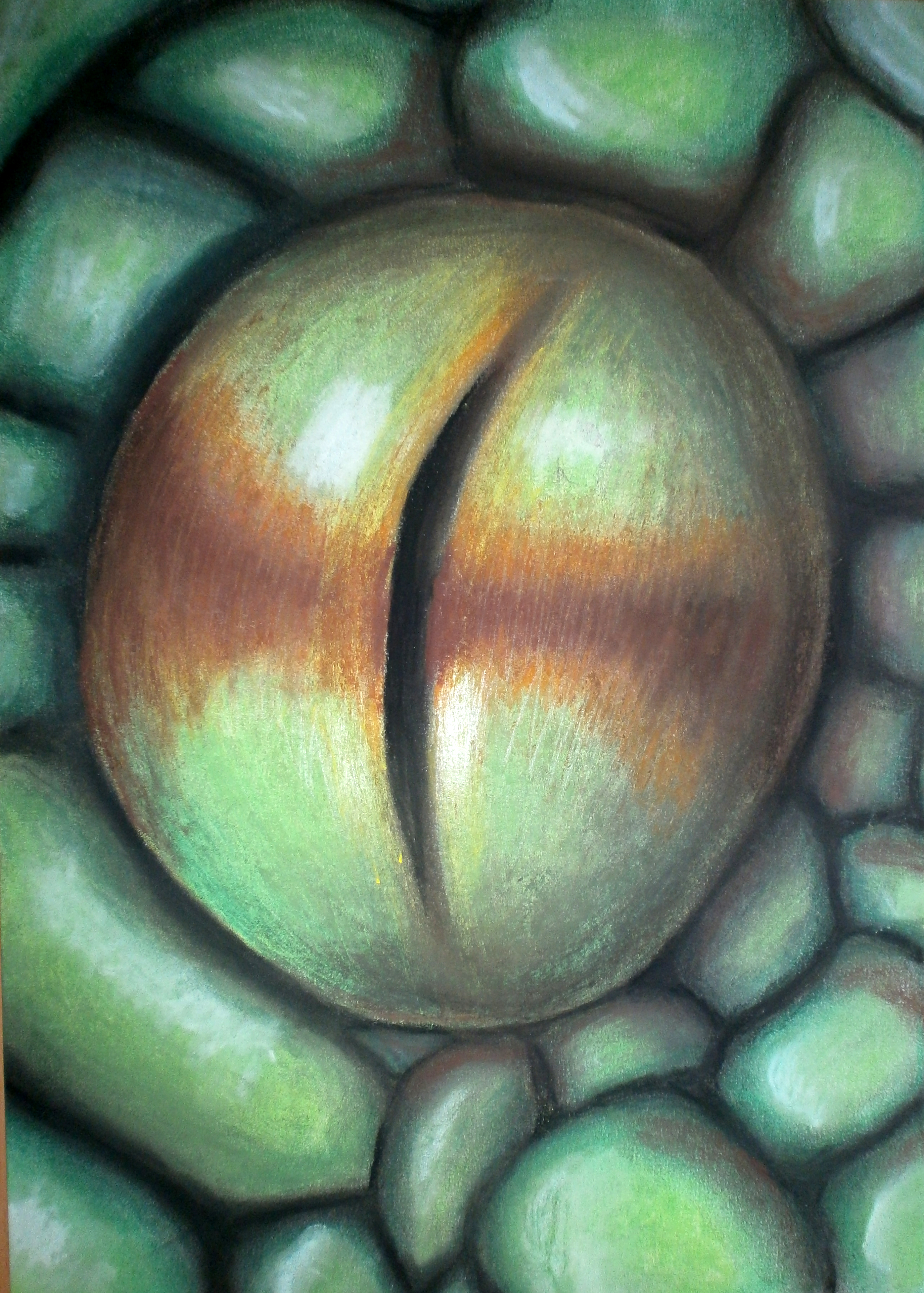 okohada
